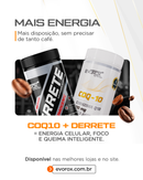 Kit Coenzima Q10 + Termogênico DERRETE Evorox Nutrition